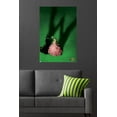 thumbnail image 4 of Wicked - Fiche d'introduction, 4 of 4