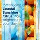thumbnail image 3 of Tarro para velas Glade Coastal Sunshine Citrus, 100 ml, 2 unidades, 3 of 9