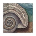 thumbnail image 1 of Shells in Pointillism - Canvas, 1 of 10