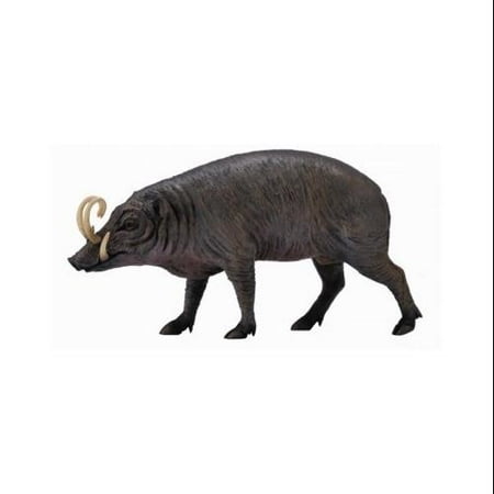 CollectA Wildlife Sulawesi Babirusa Toy Figure - Authentic Hand Painted Model