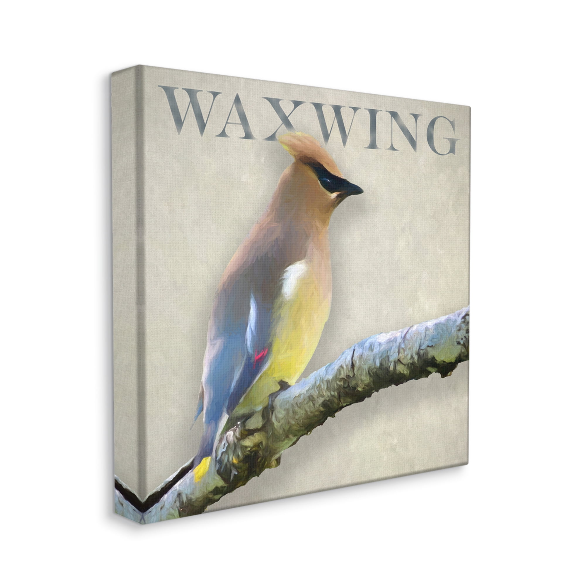 Stupell Industries Waxwing Bird Perched Wildlife Breed Typography Graphic Art Gallery Wrapped Canvas Print Wall Art, Design by Alpenglow Workshop