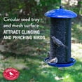 thumbnail image 3 of Perky-Pet Blue Large Dual Mesh Wild Bird Tube Seed Feeder - 8 lb. Capacity, 3 of 11
