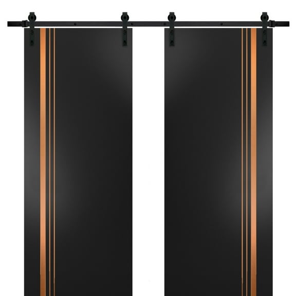 Sturdy Double Barn Door 36 x 80 inches with | Planum 1010 Matte Black with Frosted Glass | 13FT Rail Hangers Heavy Set | Solid Panel Interior Doors