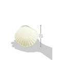 thumbnail image 4 of Abbott Collection AB-27-BLANC-731 5 Po Coquille Babiole & Vaisselle à Savon&44; Blanc, 4 of 4