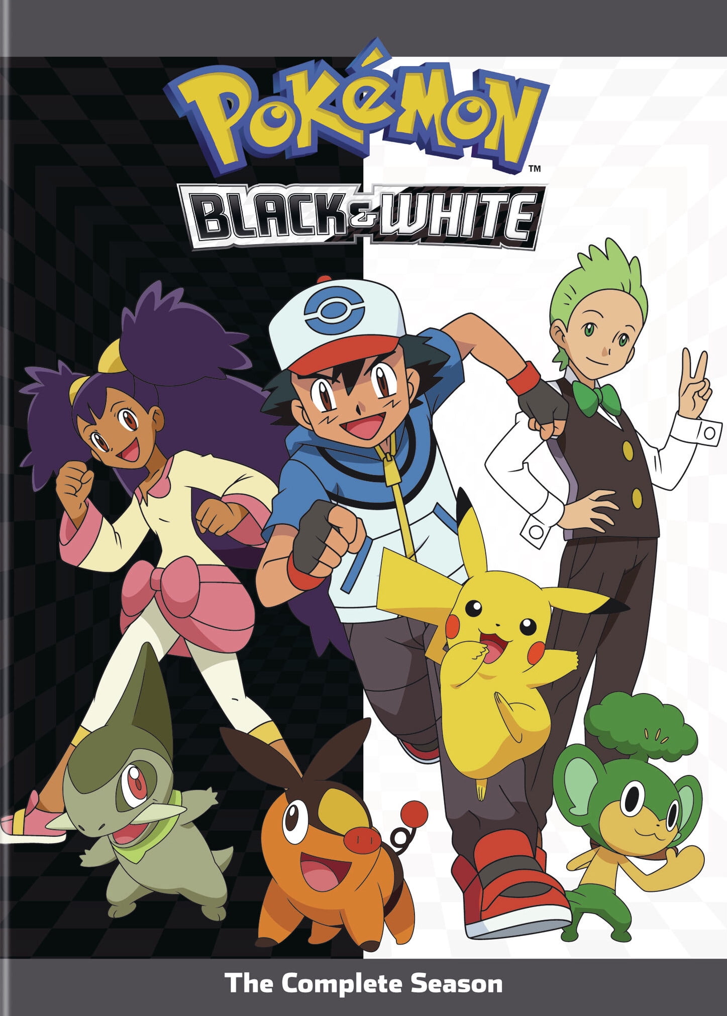 Pokemon The Series Black And White The Complete Season 14 Dvd Walmart Com