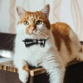 thumbnail image 2 of Cat Collar with Bell, Plaid Cat Collar with Bow Tie, Adjustable Buckle for Extra Small Medium Tiny Female Male Boys Girls Pets Puppy Kitten, 2 of 6
