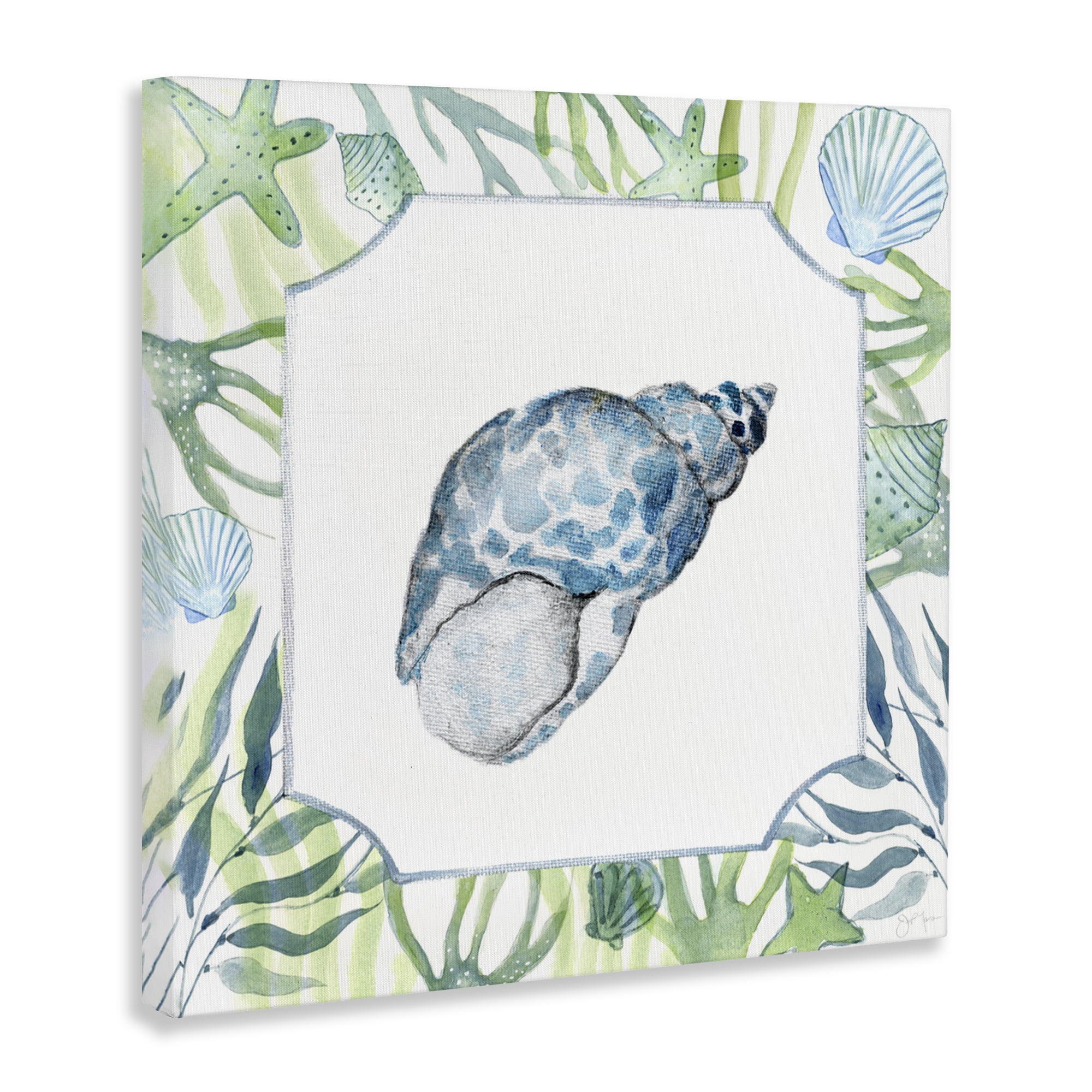 Stupell Industries Spotted Cowrie with Seaweed Canvas Wall Art, design by Janet Tava