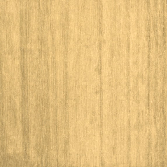 Ahgly Company Indoor Square Solid Brown Modern Area Rugs, 6' Square