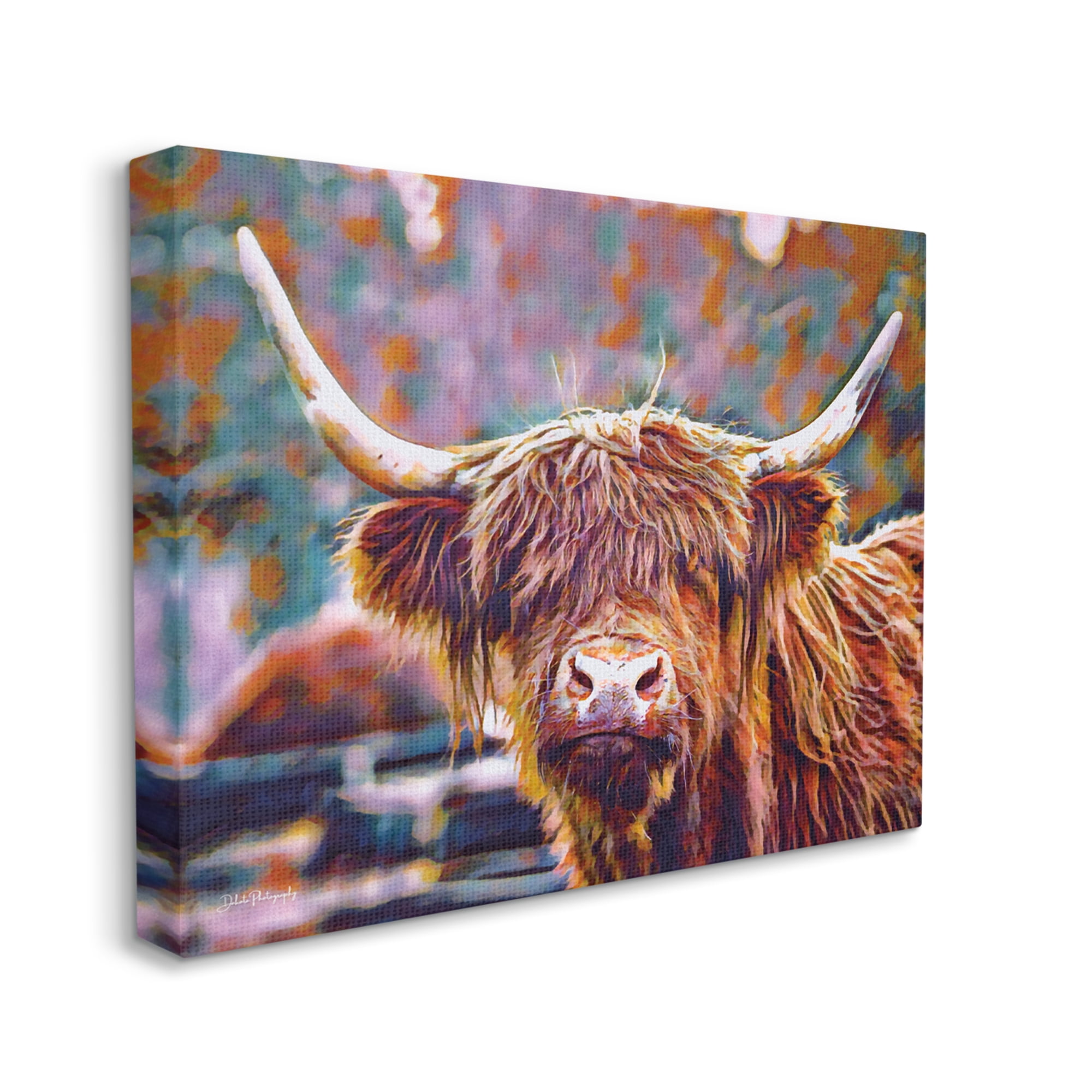 Stupell Industries Highland Cattle Modern Portrait Animals & Insects Photography Gallery Wrapped Canvas Print Wall Art, 30 x 24