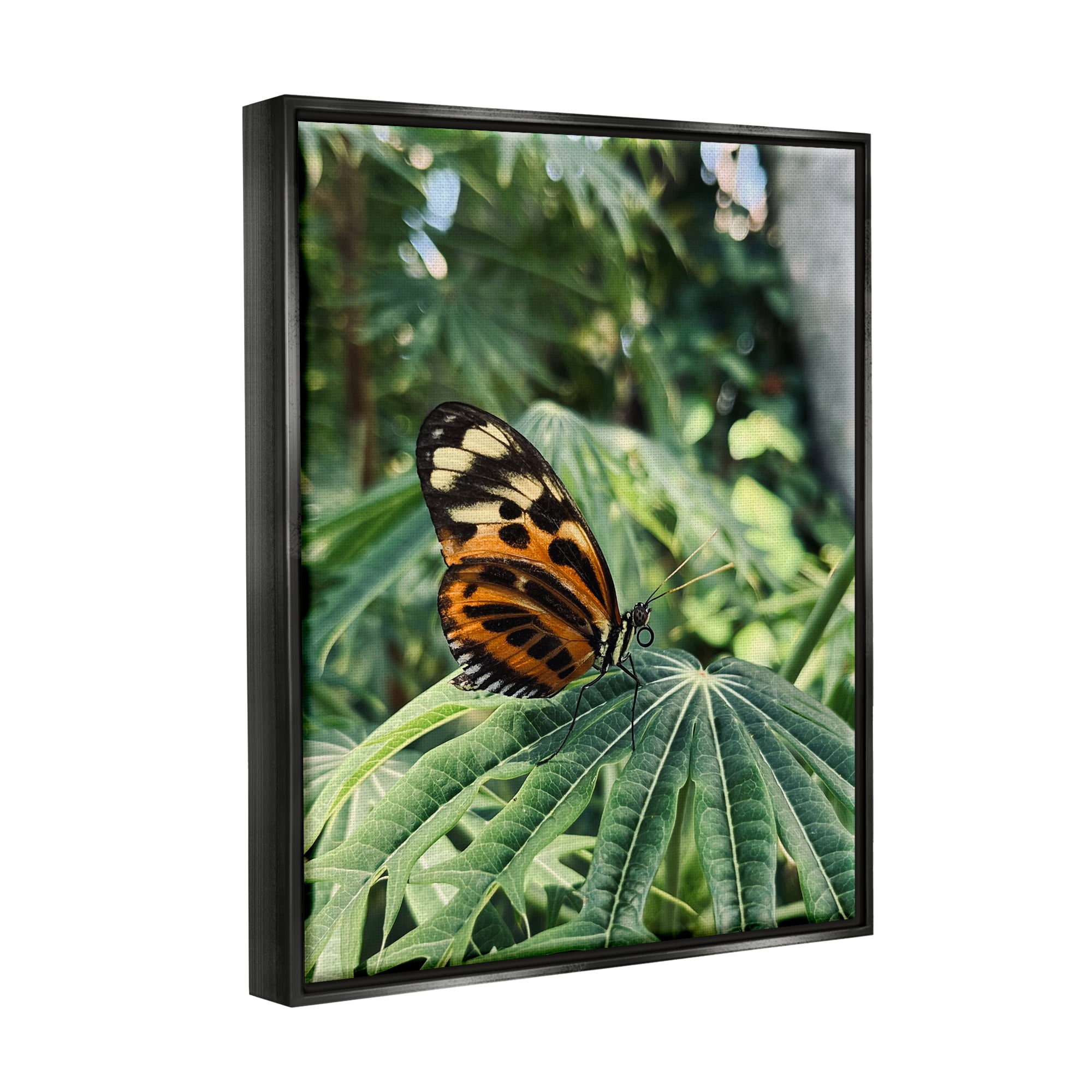 Stupell Industries Monarch Butterfly on Leaf Animals & Insects Photography Black Floater Framed Art Print Wall Art, 25 x 31