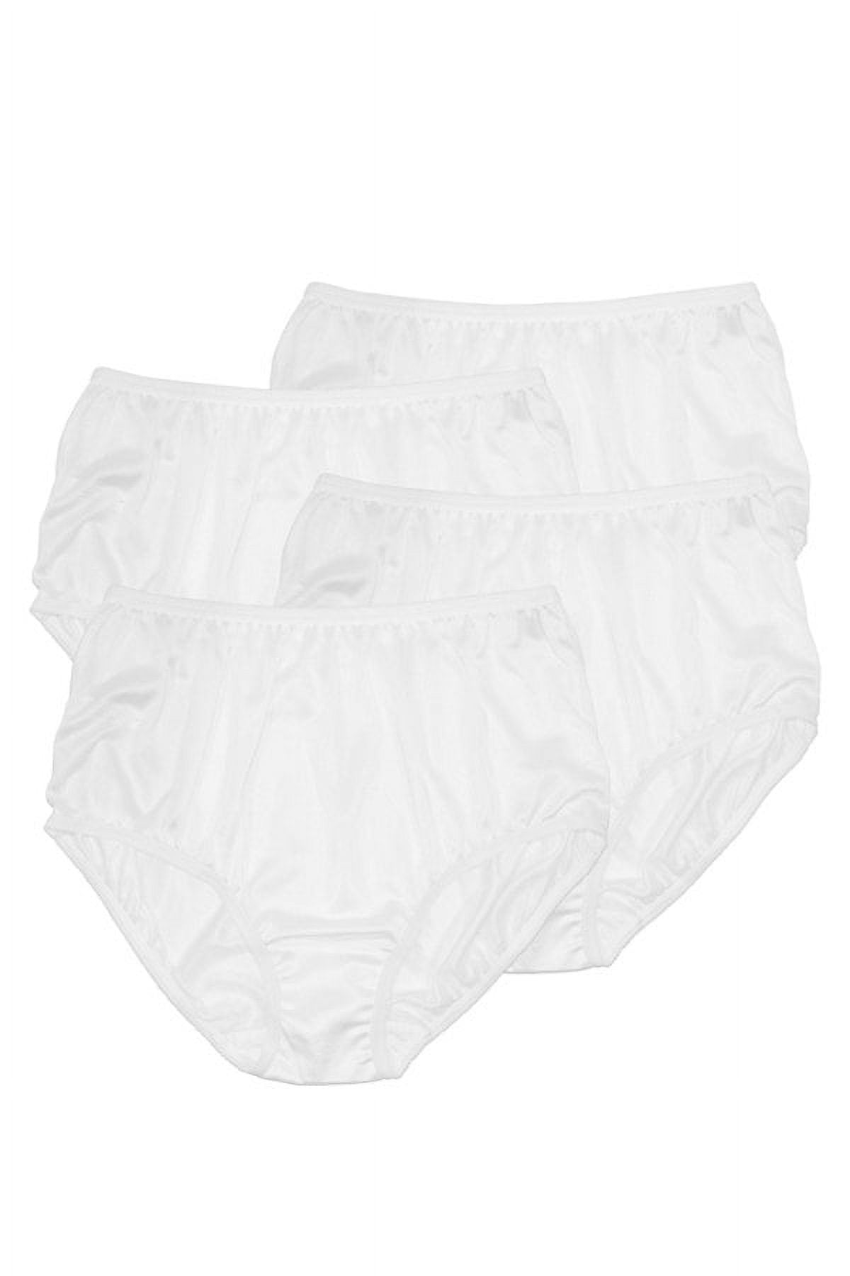 Women's Classic, Nylon, Full Coverage Brief Panty by Teri Lingerie Assorted  Colors 4 Pack