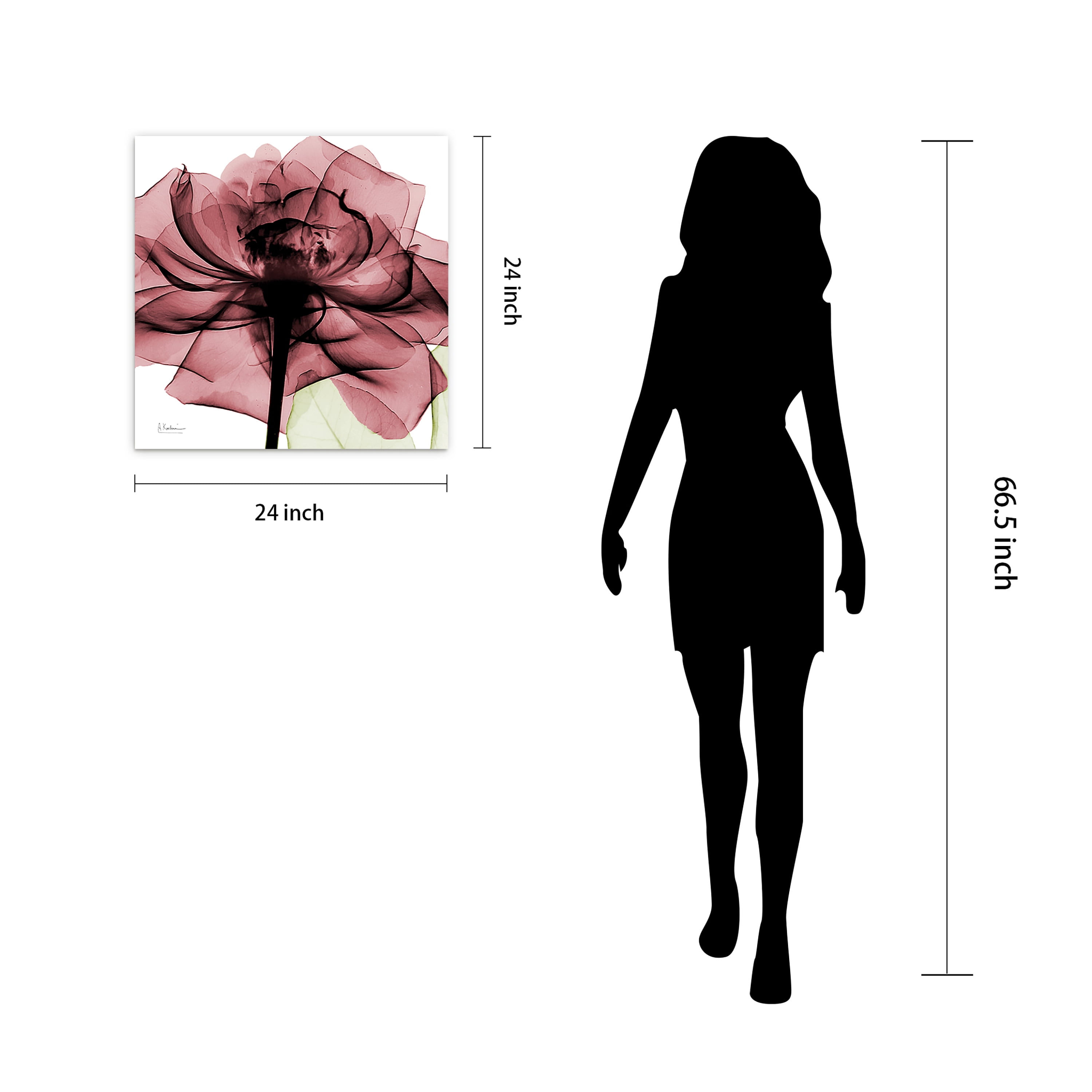 Empire Art Direct Chianti Rose II Frameless Free Floating Tempered Glass Panel Graphic Wall Art, 24" x 24" x 0.2", Ready to Hang