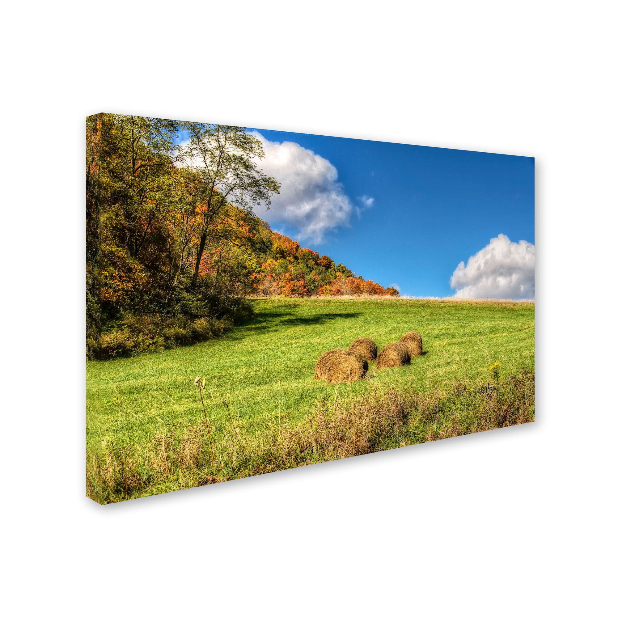 Trademark Fine Art "October Afternoon" Canvas Art by Lois Bryan