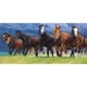 thumbnail image 2 of Cuadros Decorativos Ejecución de pintura de diamantes de caballo de taladro redondo completo para la decoración de diamantes de imitación (Y629) Ndcxsfigh Nuevos Originales, 2 of 8