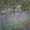 The Artist's Garden At Giverny 1900, variant on Elephant Stock Evening Breeze Wall Art - Horizontal Canvas Wall Art - Living Room Wall Decor - Animal Canvas - Orange And Green Decor By Timothy Easton - 12" x 8"