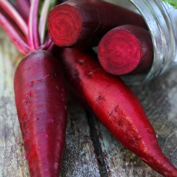 Organic Cylindra Beet Seeds - 1 OZ ~1,500 Seeds - Organic, Heirloom, Open Pollinated, Non-GMO, Farm & Vegetable Gardening Seeds