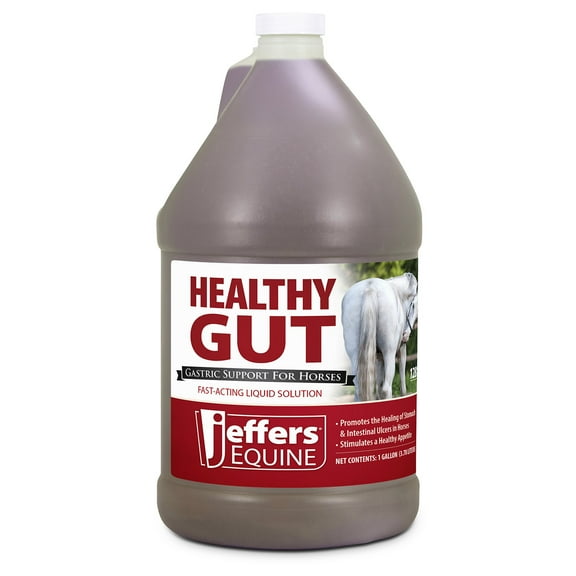Jeffers Equine Healthy Gut Gastric Support – Liquid Digestive Supplement for Horses Prone to Ulcers – Easy to Feed Formula, Supports Gut Comfort & Digestive Balance – 1 Gallon (128 Day Supply)