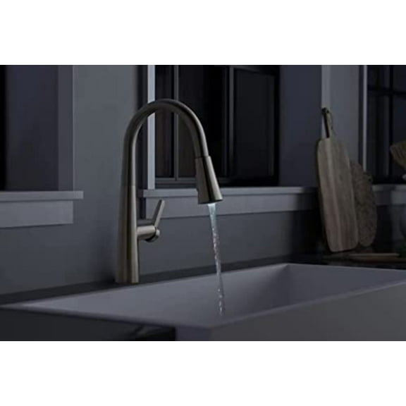 allen   roth Bryton Stainless Steel Single Handle Pull-down Kitchen Faucet