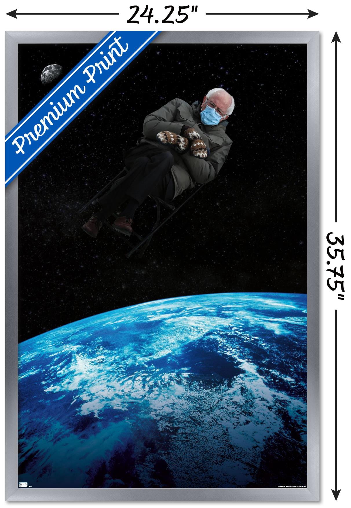 Earth To Bernie Wall Poster, 22.375" x 34", Framed