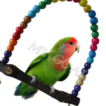 Image showcasing Maoww Parrot Swing Bird Cage Stand Cockatiel bird wood swing Budgie ...
