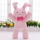 thumbnail image 3 of Ouran High School Host Club Muñeco de peluche de conejo rosa de 16.0 in de Haninoduka Mitsukuni, 3 of 5