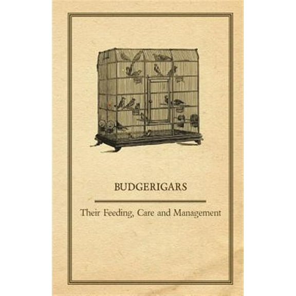 Budgerigars - Their Feeding, Care and Management (Paperback)