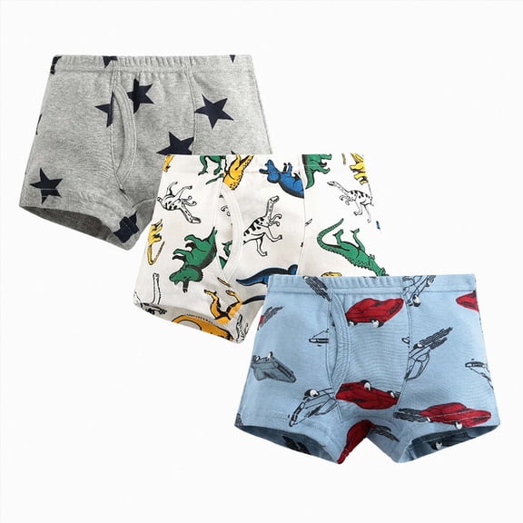 WUANDIXFA Kid Organic Cotton Underwear Boys Cotton Boxer Briefs Dinosaur Cute Toddler Kids Underwear 3 Pack,F,4-5 Years
