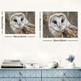 thumbnail image 6 of ONETECH Canvas Wall Art - Common Barn Owl - Modern Home Art Ready to Hang 20x16inch, 6 of 6