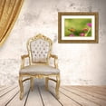 thumbnail image 3 of Day, Richard and Susan 32x23 Gold Ornate Wood Framed with Double Matting Museum Art Print Titled - Monarch flying, 3 of 4