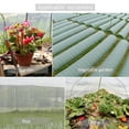 thumbnail image 3 of Wovilon Gardening Tools Gardening Supplies Fence Vegetables Fruit Flowers Plant Protection Greenhouse Garden Net 6X2.4M, 3 of 5