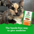 thumbnail image 6 of Feline Greenies Pill Pockets For Cats Natural Soft Cat Treats, Chicken Flavor, 1.6 Oz. Pack (45 Treats), 6 of 12