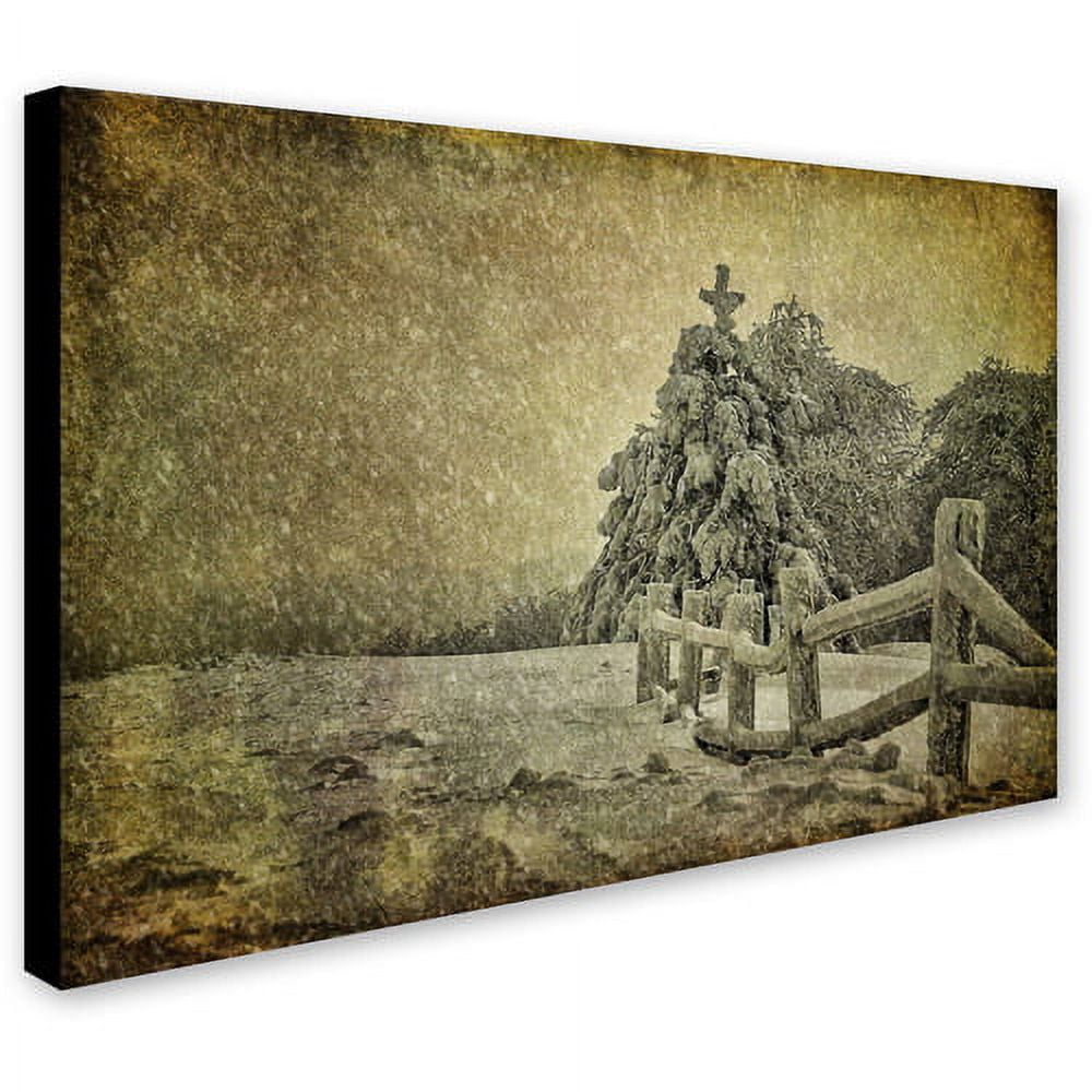 Trademark Fine Art "Oh Christmas Tree in Snow" Canvas Art by Lois Bryan