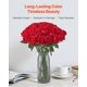 thumbnail image 3 of Rosas artificiales de espuma roja VEVOR, 60 unidades con tallos, 3 of 9