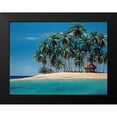 thumbnail image 2 of Peters, Ron 18x14 Black Modern Framed Museum Art Print Titled - Tiki Time, 2 of 5