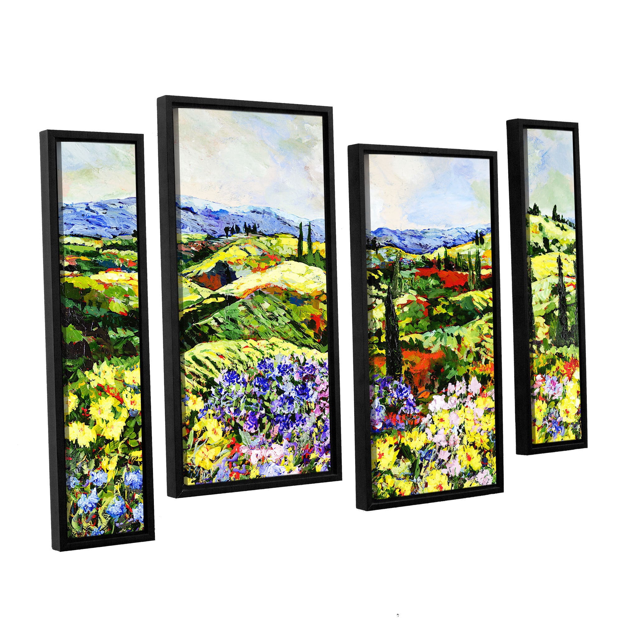 ArtWall Allan Friedlander "Dream Valley" 4-Piece Floater Framed Canvas Staggered Set