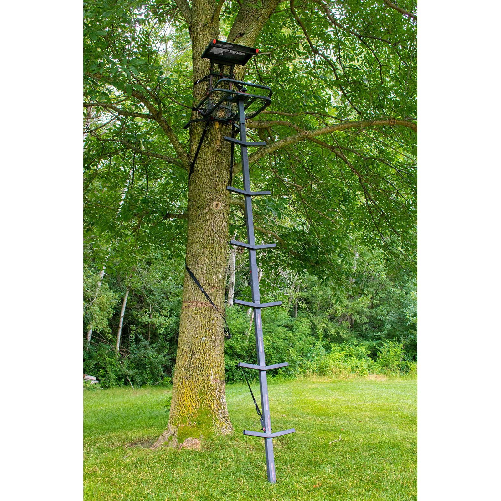 X Stand Xsls507 Apollo 10 Ft Portable Deer Hunting Single Man Ladder Tree Stand Walmart Com Walmart Com