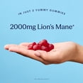 thumbnail image 4 of Mindful Blend Lion's Mane Raspberry Gummies, 4 of 5
