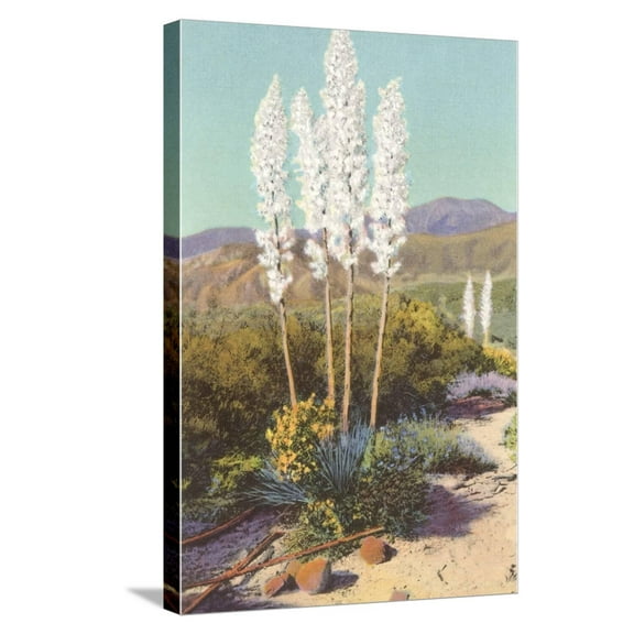 Art.com Yuccas in Bloom Stretched Canvas Print Wall Art, 16" x 24"