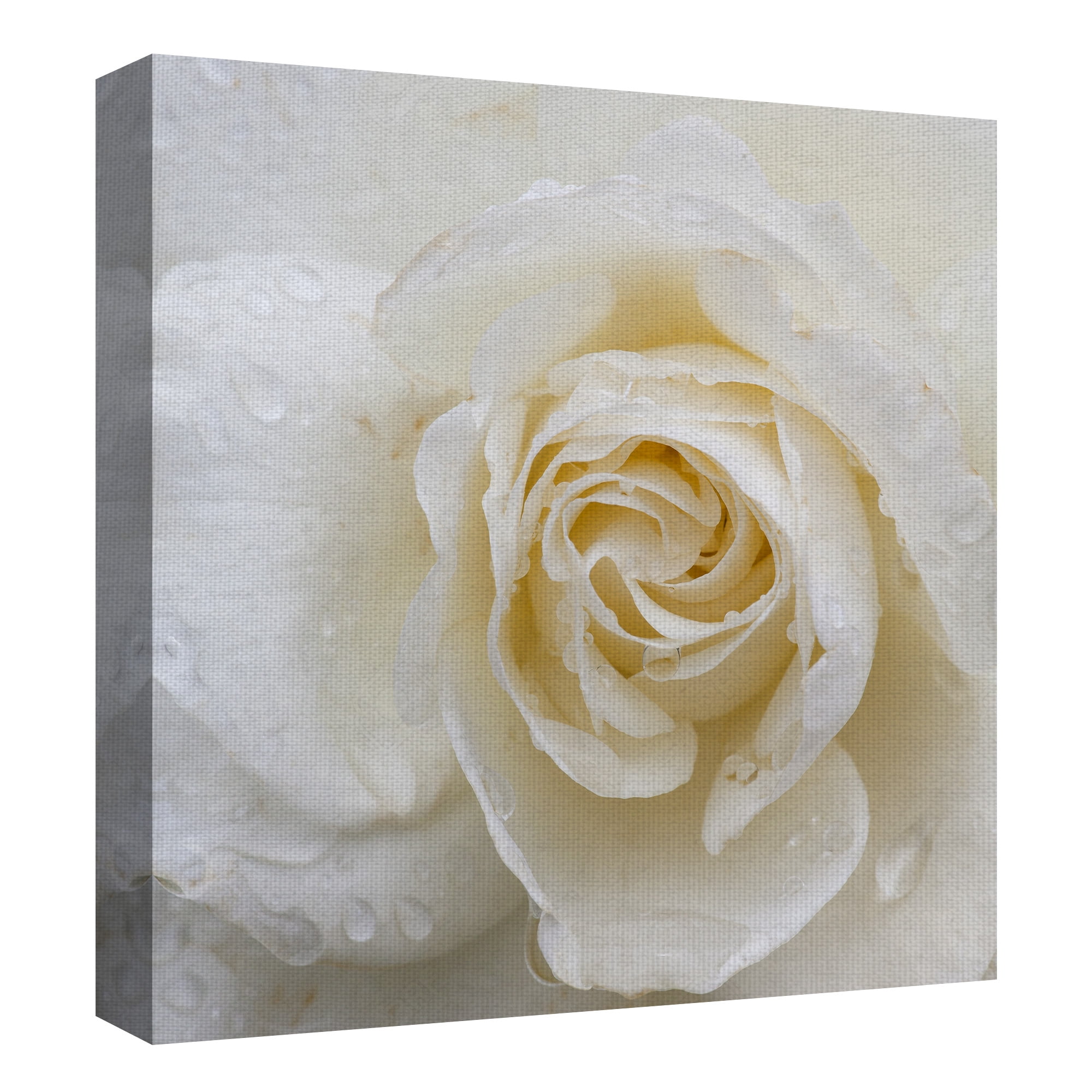 Masterpiece Art Gallery Dewdrops Of A Rose By Robin Constable Hanson Canvas Art Print 35" x 35"