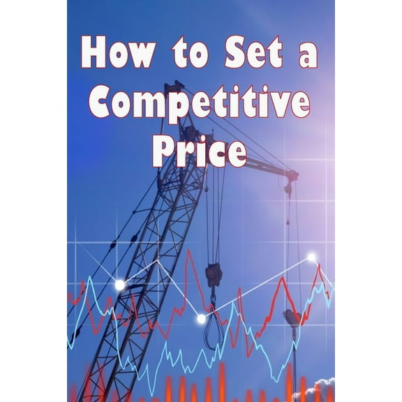 How to Set a Competitive Price: How to Value Your Offering Your Ideal Pricing Techniques for a Product, (Paperback)