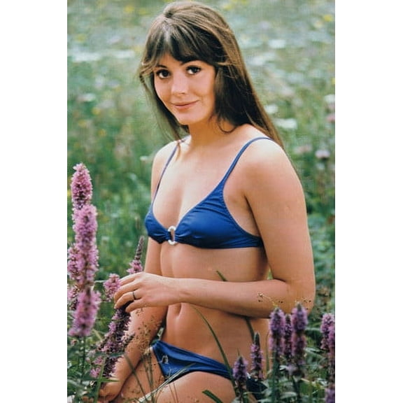 Lesley-Anne Down 24x36 Poster