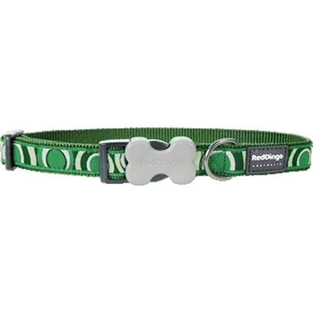 Dingo clearance dog collar