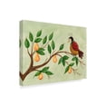 thumbnail image 2 of Trademark Fine Art 'Partridge In A Pear Tree 1' Canvas Art by Beverly Johnston, 2 of 3