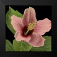 thumbnail image 2 of Vision Studio 15x15 Black Modern Framed Museum Art Print Titled - Dramatic Tropical Vision II, 2 of 5