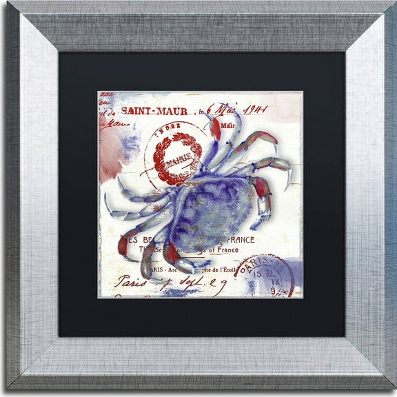 Trademark Fine Art "Oceania I" Canvas Art by Color Bakery, Black Matte, Silver Frame