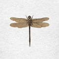 thumbnail image 3 of CafePress - Dragonfly Vintage T Shirt - Light T-Shirt Kids XS-XL, 3 of 4