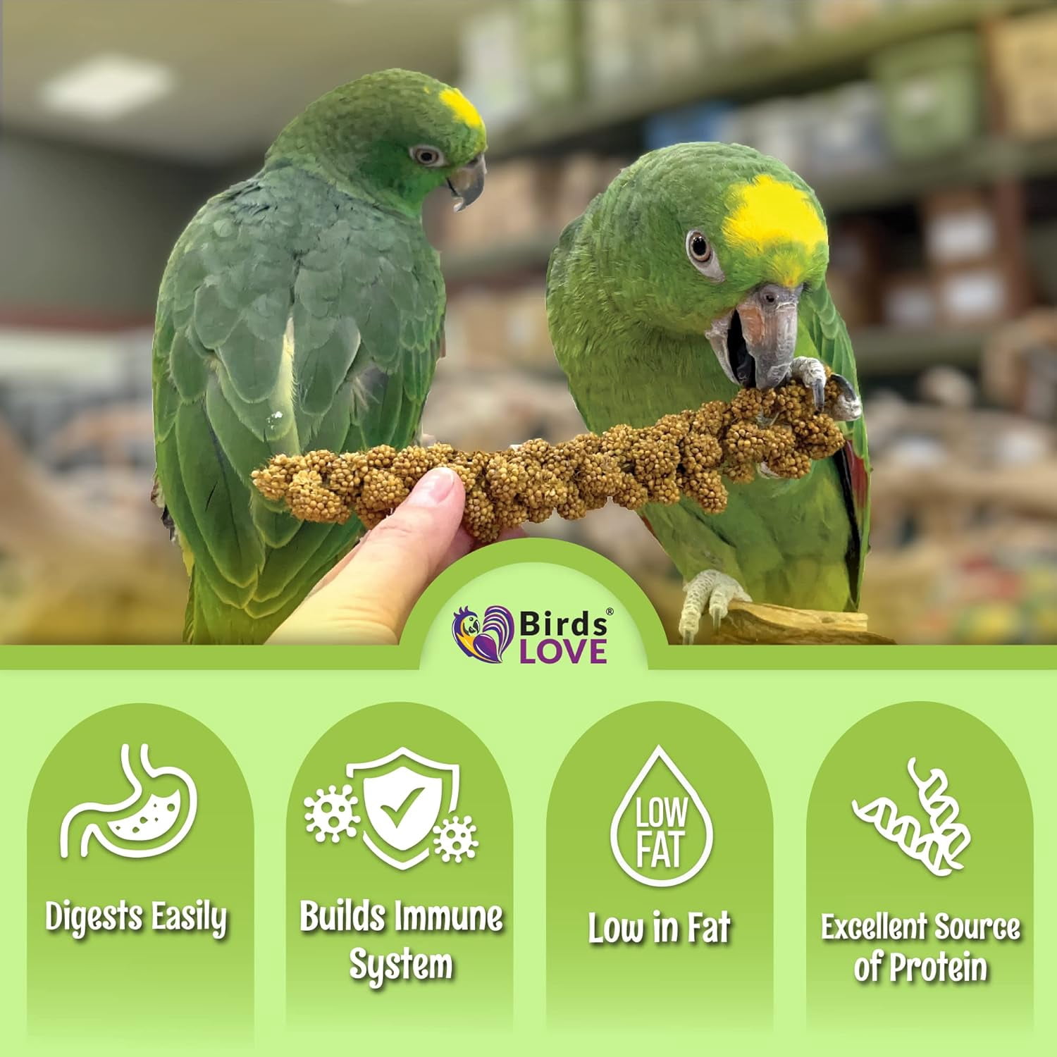 Birds LOVE French Kissed Spray Millet for Birds, USA Grown, 100% Natural Sun-Dried Millet Treat for Parakeets, Cockatiels, Conures & Budgies, Non GMO, 5 lb