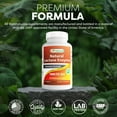 thumbnail image 5 of 3 Pack Best Naturals Natural Lactase Enzyme 9000 FCC ALU 90 Tablets | Lactose Intolerance Relief Tablets, 5 of 7