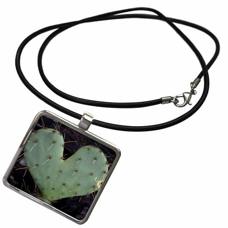 Mountain Range Necklace 3dRose USA, Texas, Guadalupe Mountains. Heart-shaped prickly-pear cactus. - Necklace with Pendant (ncl_231617_1) ()