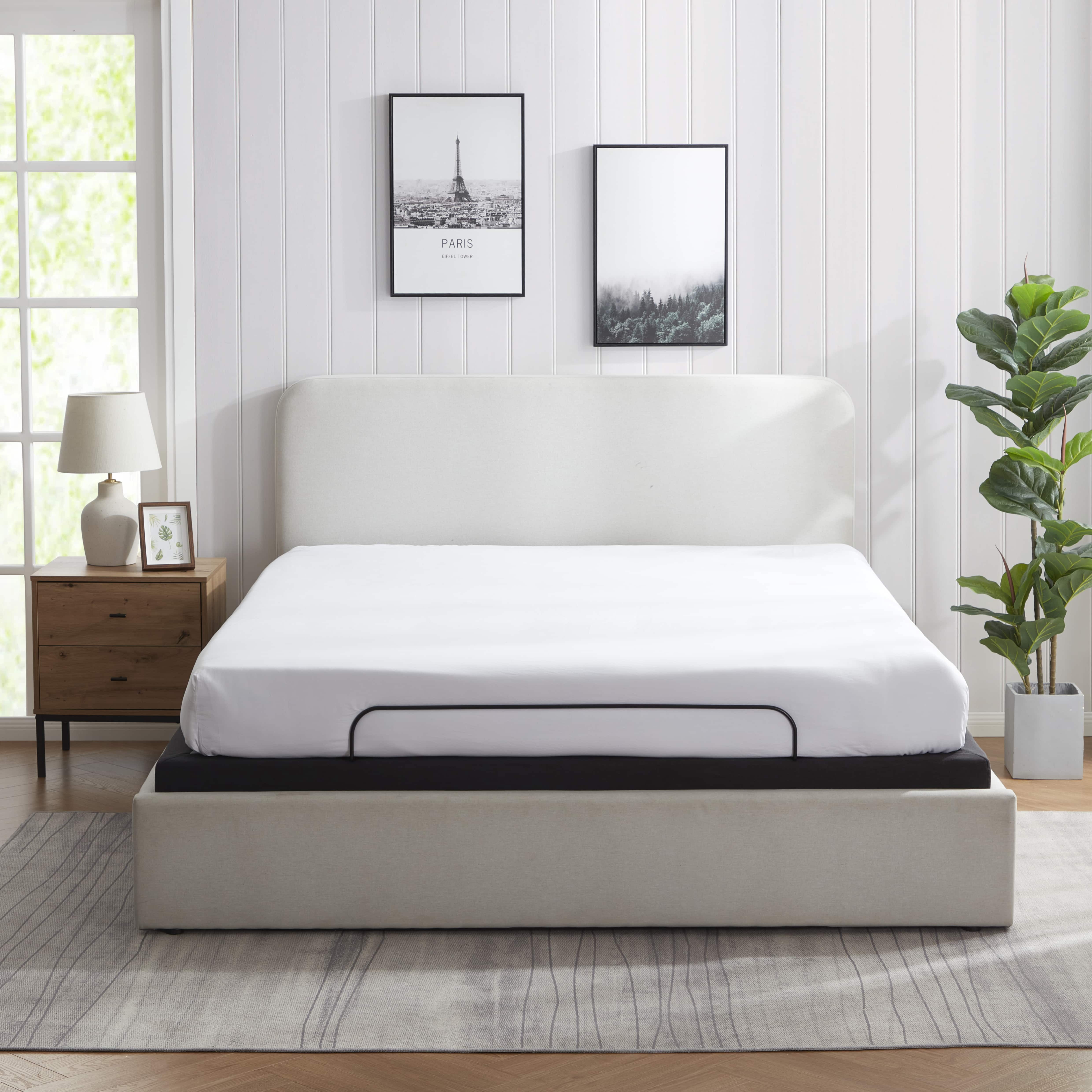Lammaloe Electric King Size Adjustable Bed Frame with Massage Feature and Wireless Remote, Zero Gravity Metal Adjustable Bed Base King with 14" Storage, USB Ports, LED Lights
